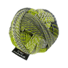 Schoppel Wolle Yarn Green Week SCHOPPEL | Sock Yarn | Zauberball® Crazy | 1153