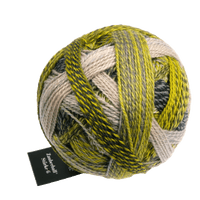 Schoppel Wolle Yarn Green Week SCHOPPEL | Sock Yarn | Zauberball® Stärke 6 | 1289