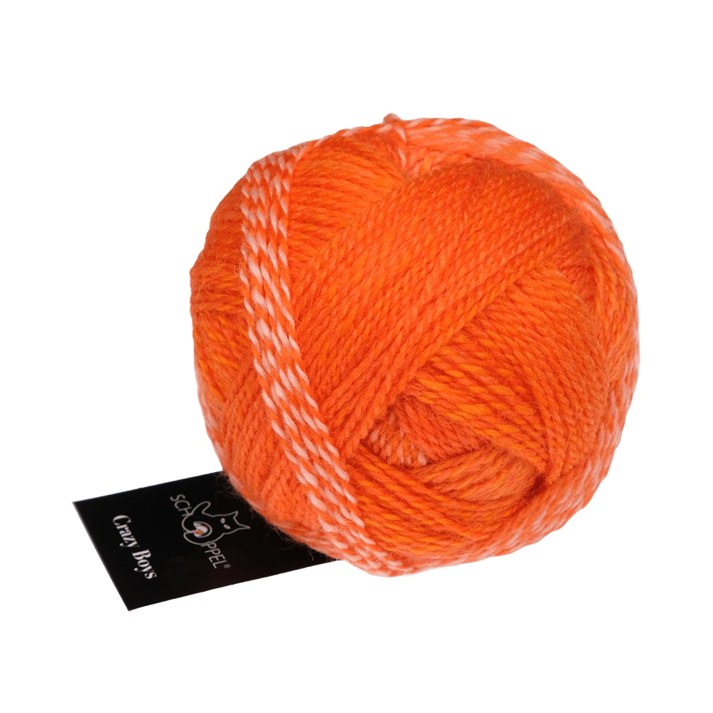 Schoppel Wolle Yarn Helmut | 2699 SCHOPPEL | Sock Yarn | Crazy Boys | 2025