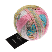 Schoppel Wolle Yarn Hospitality Gift 2513 SCHOPPEL | Edition 3 | 1523