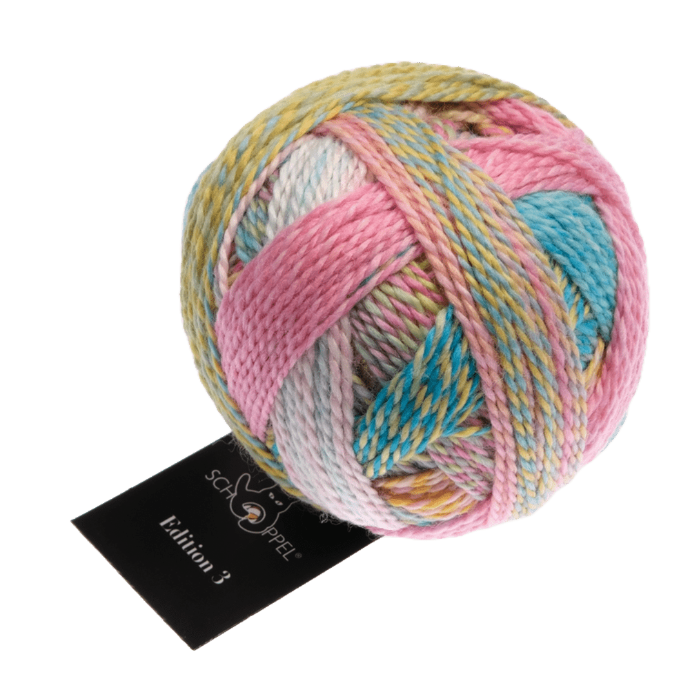 Schoppel Wolle Yarn Hospitality Gift 2513 SCHOPPEL | Edition 3 | 1523