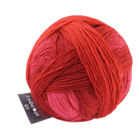 Schoppel Wolle Yarn Hot Iron SCHOPPEL | Zauberball® 100 Pro | 1391P