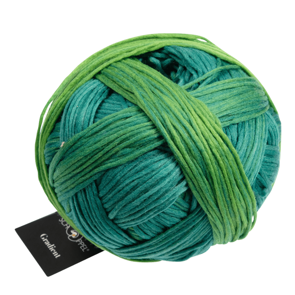 Schoppel Wolle Yarn In The Meadow SCHOPPEL | Gradient | 1395