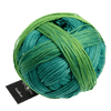 Schoppel Wolle Yarn In The Meadow SCHOPPEL | Gradient | 1395