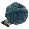 Schoppel Wolle Yarn In the Mood SCHOPPEL | Sock Yarn | Jeans Ball | 1359