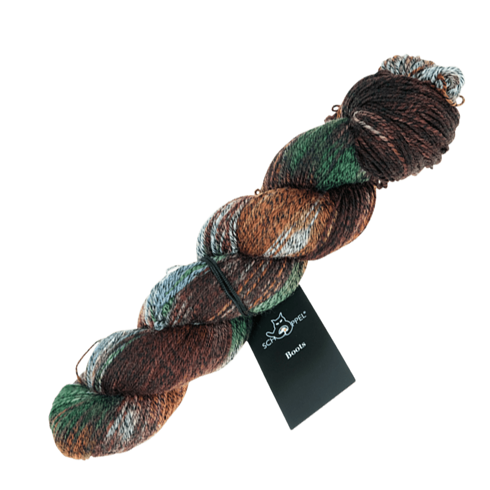 Schoppel Wolle Yarn In the Shoe Store SCHOPPEL | Sock Yarn | Boots 100g Stränge | 1079