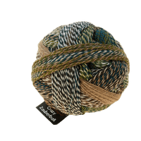 Schoppel Wolle Yarn Jacket and Trousers SCHOPPEL | Sock Yarn | Zauberball® Crazy | 1153