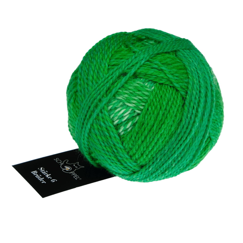 Schoppel Wolle Yarn Konrad | 2695 SCHOPPEL | Sock Yarn | Stärke 6 Brüder | 2024