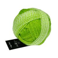 Schoppel Wolle Yarn Kurt George | 2697 SCHOPPEL | Sock Yarn | Crazy Boys | 2025