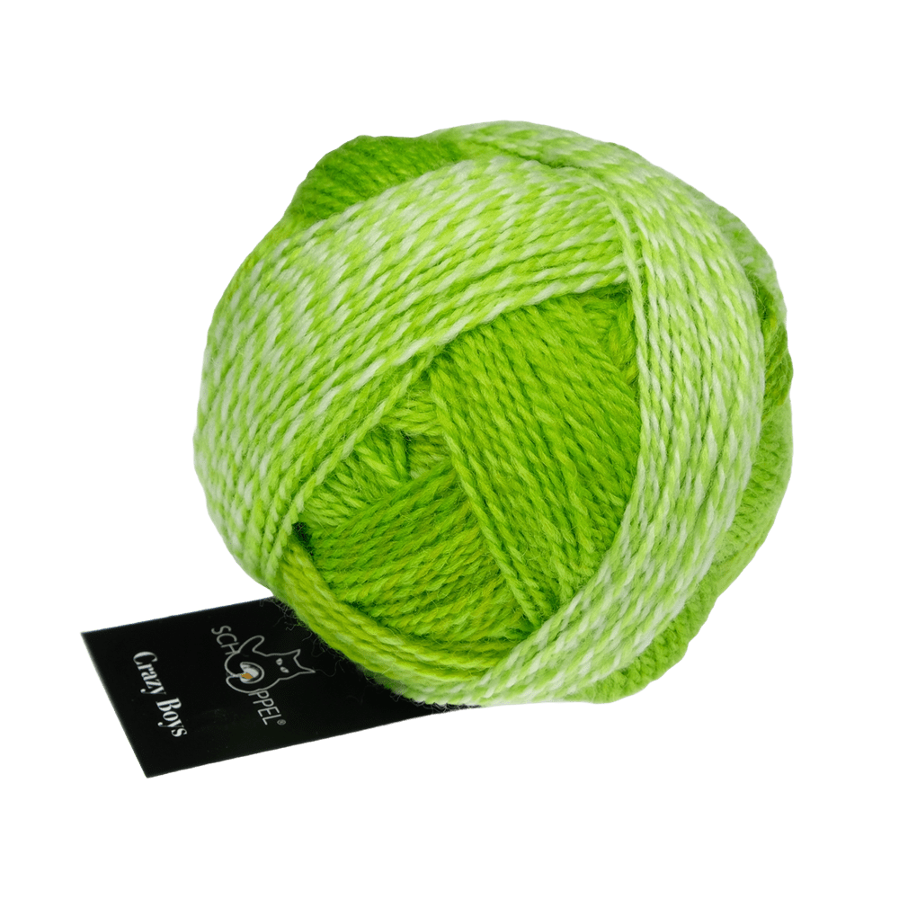 Schoppel Wolle Yarn Kurt George | 2697 SCHOPPEL | Sock Yarn | Crazy Boys | 2025