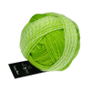 Schoppel Wolle Yarn Kurt George | 2697 SCHOPPEL | Sock Yarn | Crazy Boys | 2025