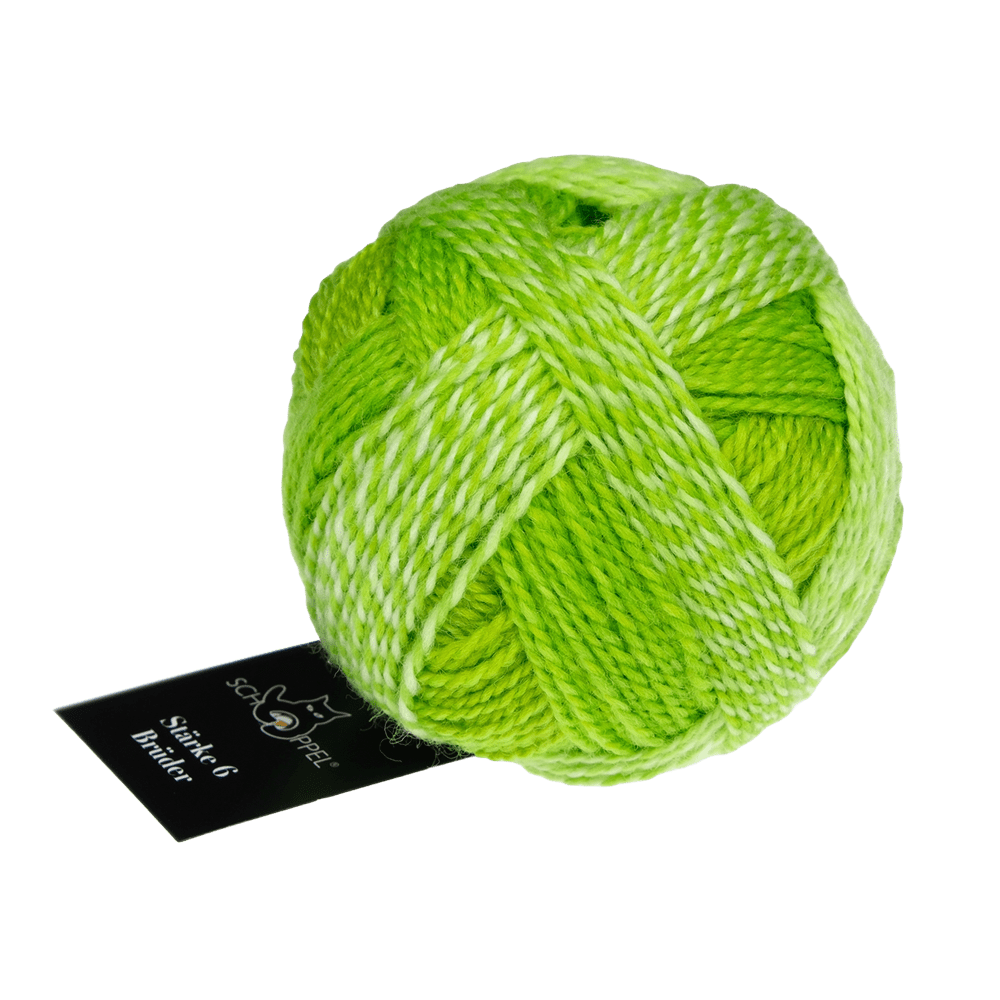 Schoppel Wolle Yarn Kurt George | 2697 SCHOPPEL | Sock Yarn | Stärke 6 Brüder | 2024