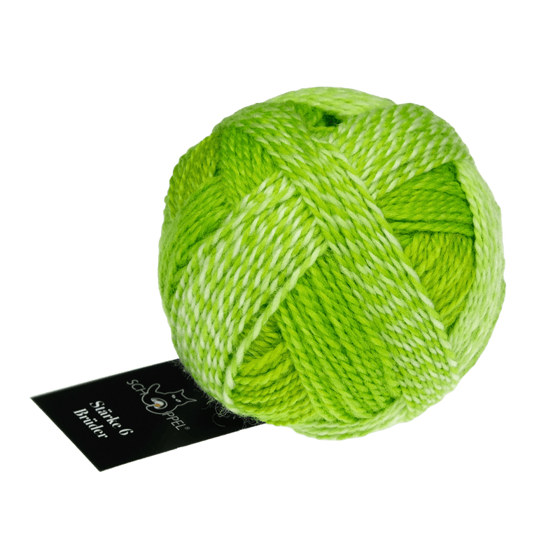 Schoppel Wolle Yarn Kurt George | 2697 SCHOPPEL | Sock Yarn | Stärke 6 Brüder | 2024