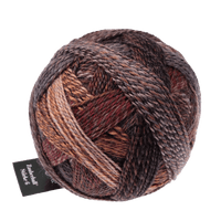 Schoppel Wolle Yarn Late Autumn SCHOPPEL | Sock Yarn | Zauberball® Stärke 6 | 1289