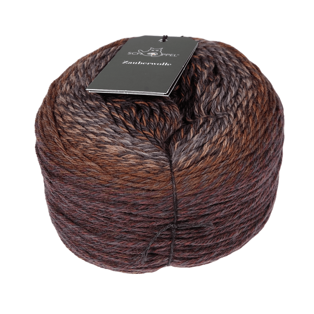 Schoppel Wolle Yarn Late Autumn SCHOPPEL | Zauberwolle | 713