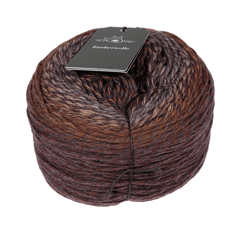 Schoppel Wolle Yarn Late Autumn SCHOPPEL | Zauberwolle | 713