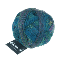 Schoppel Wolle Yarn Laundry Day SCHOPPEL | Edition 6 | 1516
