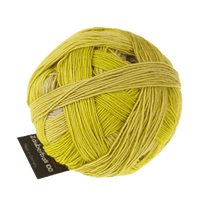 Schoppel Wolle Yarn Light in the Tunnel SCHOPPEL | Zauberball® 100 Pro | 1391P