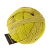 Schoppel Wolle Yarn Light in the Tunnel SCHOPPEL | Zauberball® 100 Pro | 1391P