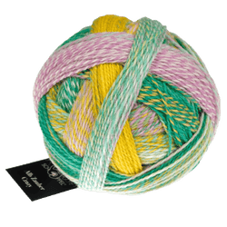 Schoppel Wolle Yarn Liminosa 2400 SCHOPPEL WOLLE | Sock Yarn | Alb Zauber Crazy | 1947
