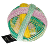 Schoppel Wolle Yarn Liminosa 2400 SCHOPPEL WOLLE | Sock Yarn | Alb Zauber Crazy | 1947