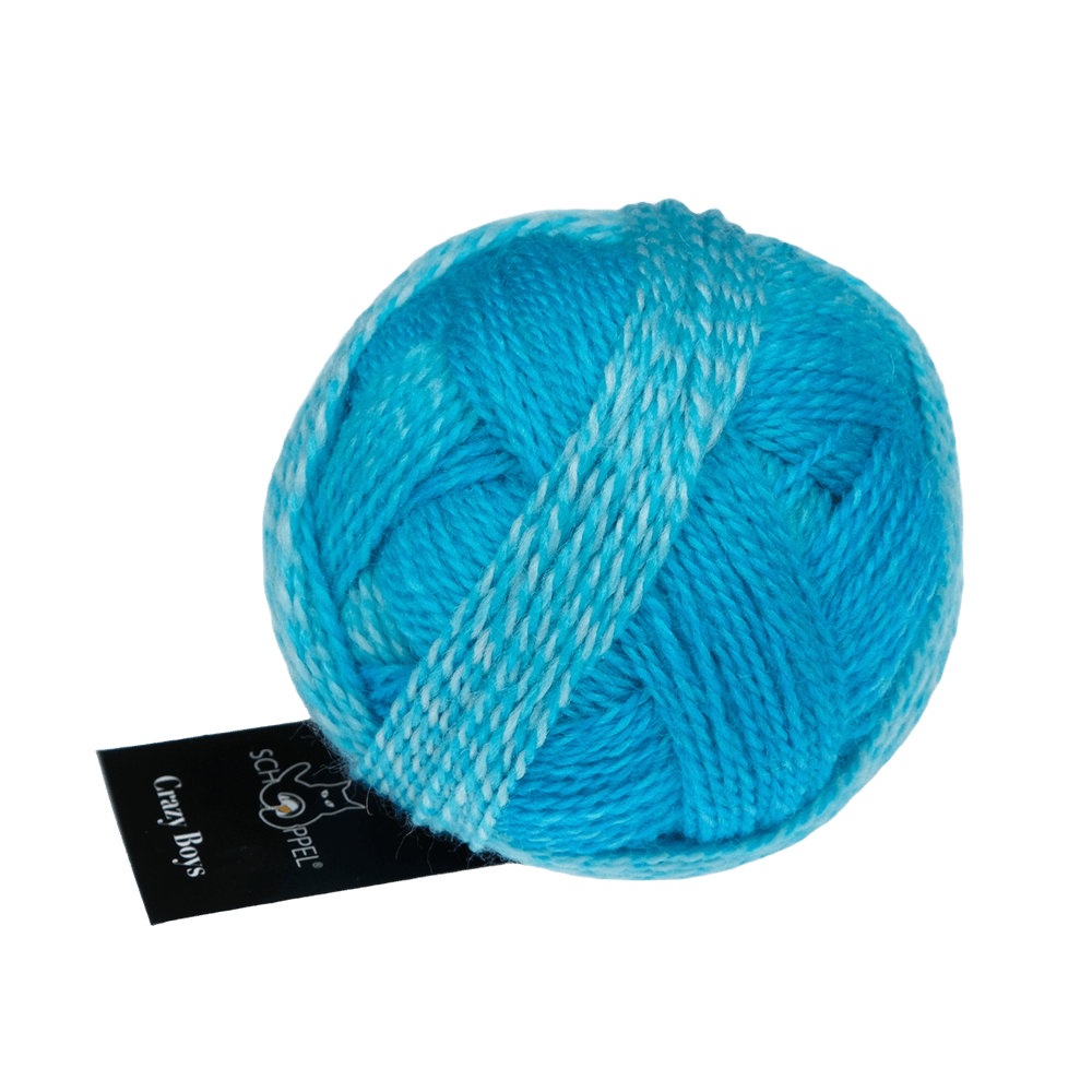Schoppel Wolle Yarn Ludwig | 2696 SCHOPPEL | Sock Yarn | Crazy Boys | 2025
