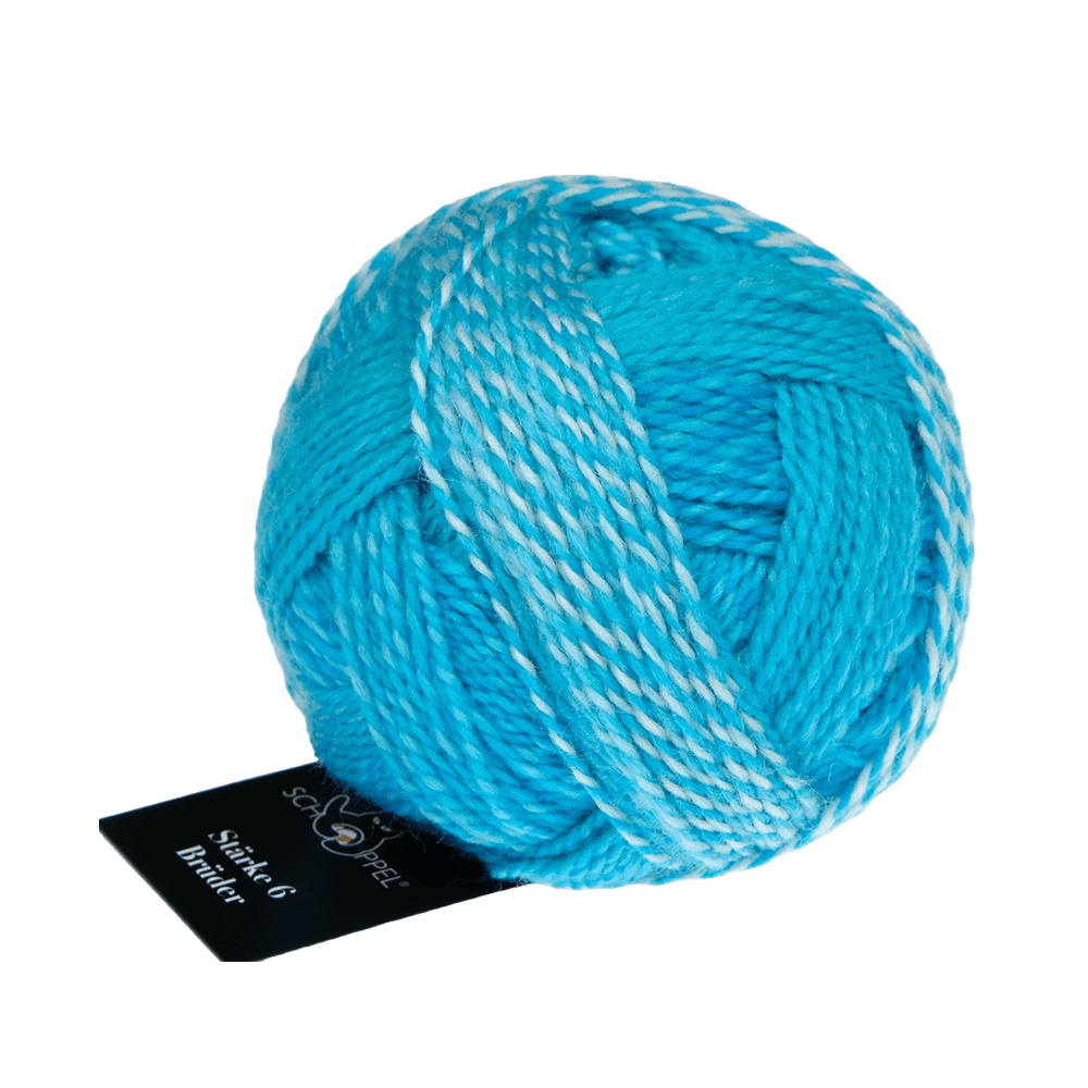 Schoppel Wolle Yarn Ludwig | 2696 SCHOPPEL | Sock Yarn | Stärke 6 Brüder | 2024