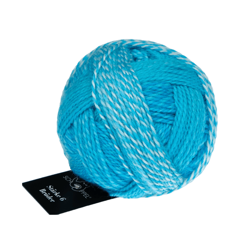 Schoppel Wolle Yarn Ludwig | 2696 SCHOPPEL | Sock Yarn | Stärke 6 Brüder | 2024