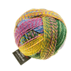 Schoppel Wolle Yarn Malerwinkel SCHOPPEL | Sock Yarn | Zauberball® Crazy | 1153