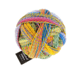 Schoppel Wolle Yarn Malerwinkel SCHOPPEL | Sock Yarn | Zauberball® Stärke 6 | 1289