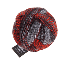 Schoppel Wolle Yarn Mars Experiment SCHOPPEL | Sock Yarn | Zauberball® Stärke 6 | 1289