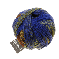 Schoppel Wolle Yarn Milestone 2266 SCHOPPEL | Edition 3 | 1523