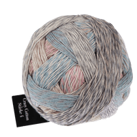 Schoppel Wolle Yarn Moose Test SCHOPPEL | Crazy Cotton Stärke 4 | 1861