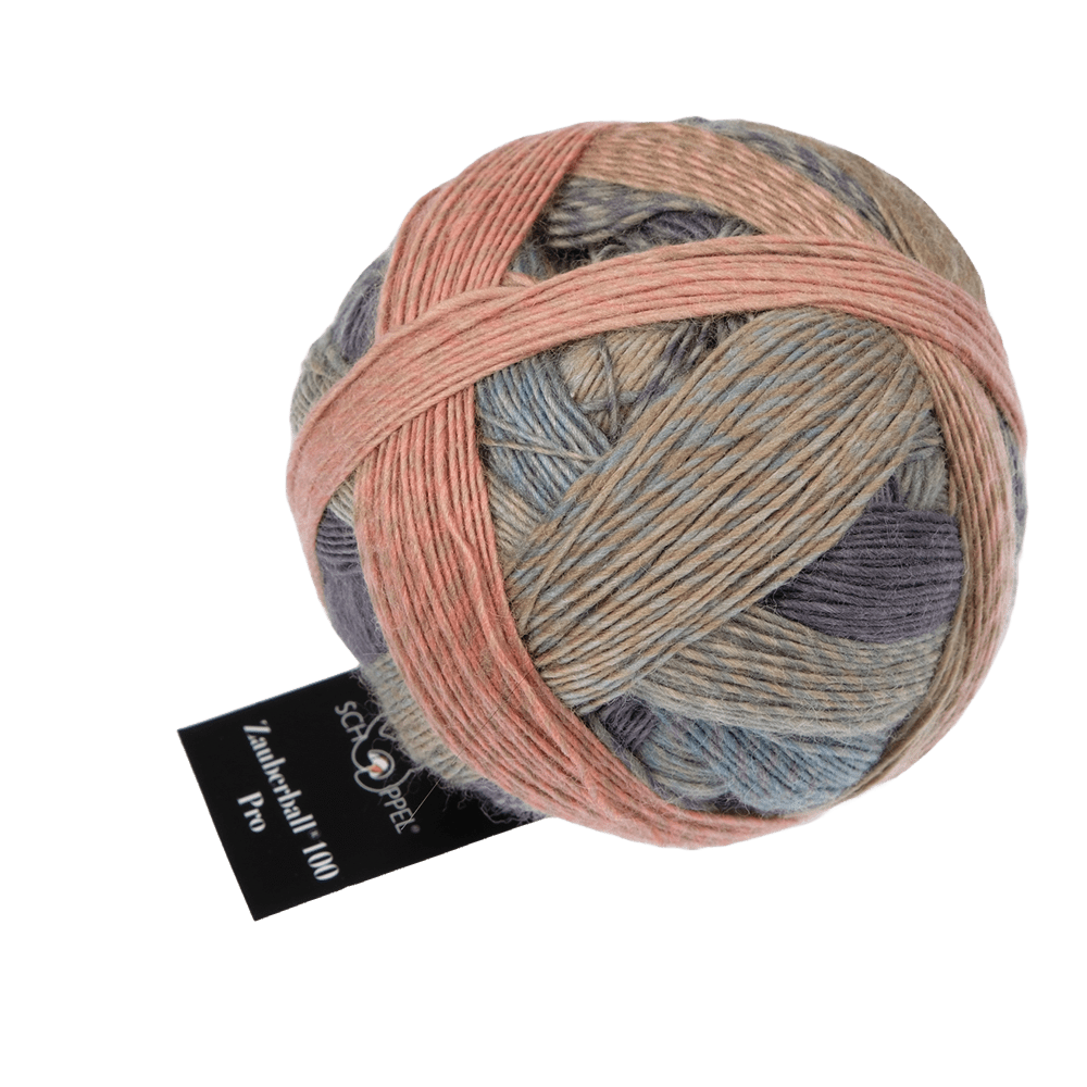 Schoppel Wolle Yarn Moose Test SCHOPPEL | Zauberball® 100 Pro | 1391P