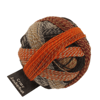Schoppel Wolle Yarn My Sweet Side SCHOPPEL | Sock Yarn | Zauberball® Crazy | 1153