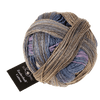 Schoppel Wolle Yarn New Terrain SCHOPPEL | Zauberball® Cotton | 1576