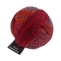 Schoppel Wolle Yarn Nonferrous Metal SCHOPPEL | Sock Yarn | Zauberball® Crazy | 1153