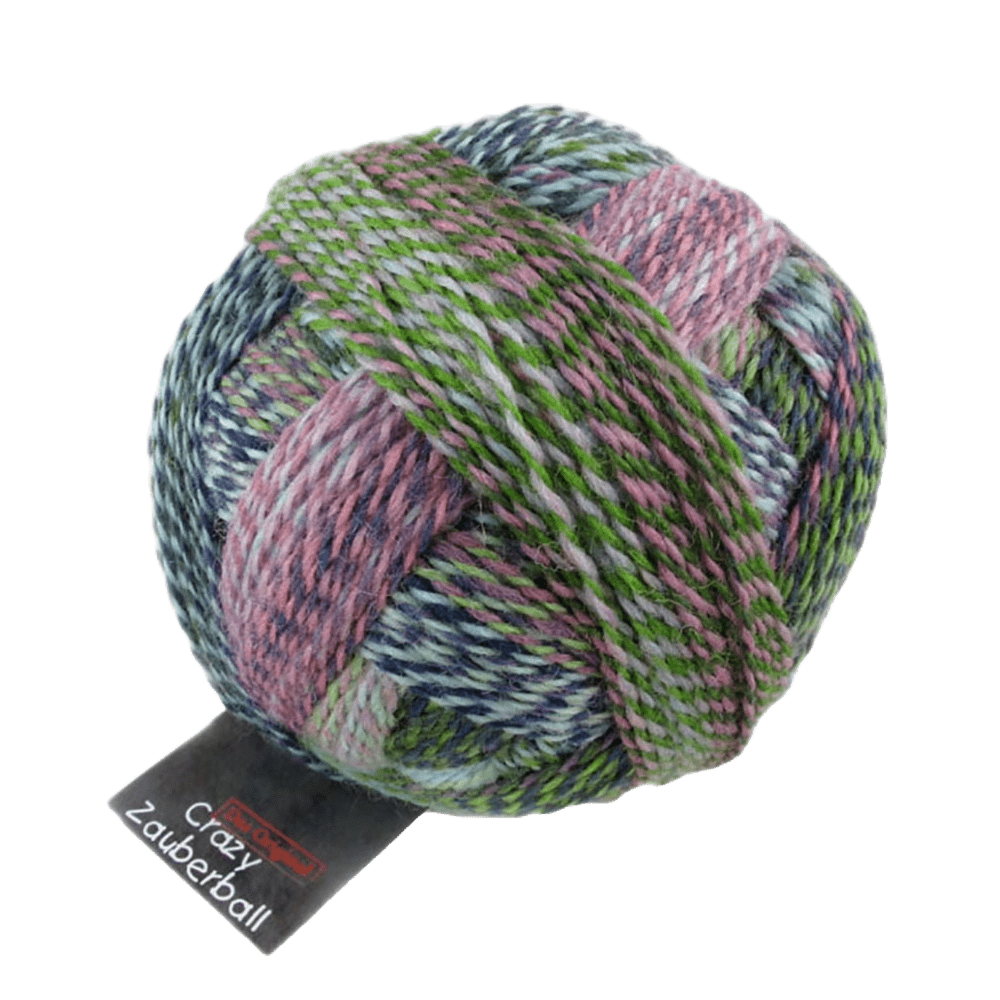 Schoppel Wolle Yarn Not the Foggiest SCHOPPEL | Sock Yarn | Zauberball® Crazy | 1153