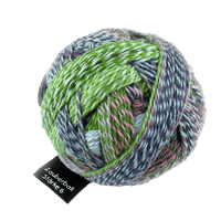 Schoppel Wolle Yarn Not the Foggiest SCHOPPEL | Sock Yarn | Zauberball® Stärke 6 | 1289
