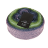 Schoppel Wolle Yarn Not the Foggiest SCHOPPEL | Zauber Flower Pro | 1603P