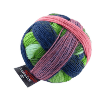 Schoppel Wolle Yarn Not the Foggiest SCHOPPEL | Zauberball® 100 Pro | 1391P