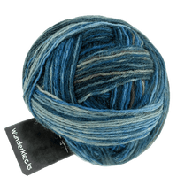 Schoppel Wolle Yarn November Rain SCHOPPEL | Sock Yarn | Wunderklecks | 1342