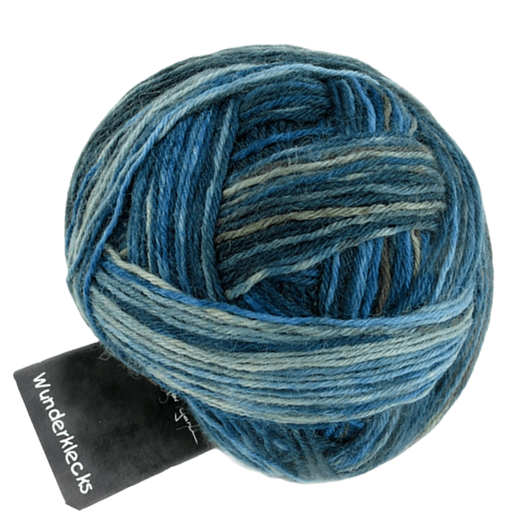 Schoppel Wolle Yarn November Rain SCHOPPEL | Sock Yarn | Wunderklecks | 1342