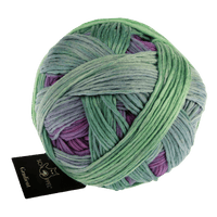 Schoppel Wolle Yarn Okey-Dokey SCHOPPEL | Gradient | 1395