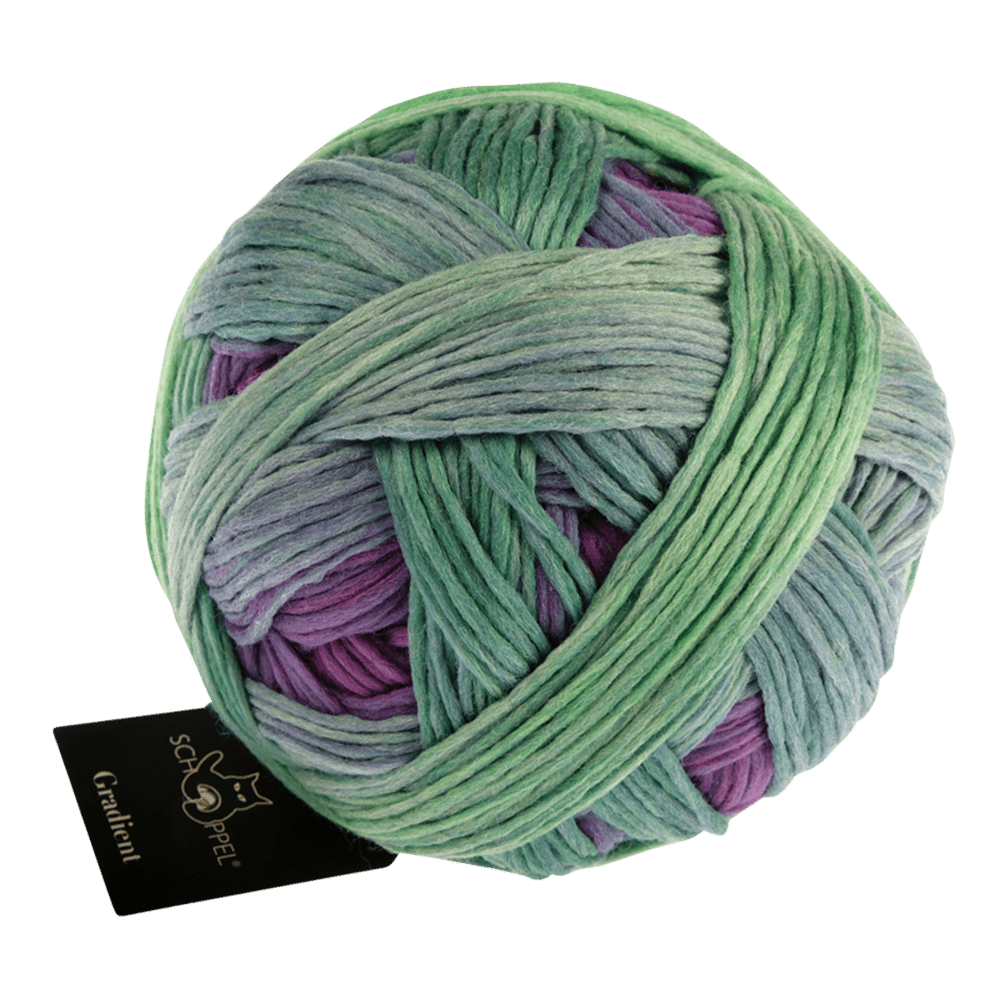 Schoppel Wolle Yarn Okey-Dokey SCHOPPEL | Gradient | 1395