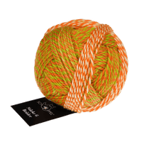 Schoppel Wolle Yarn Olaf | 2706 SCHOPPEL | Sock Yarn | Stärke 6 Brüder | 2024