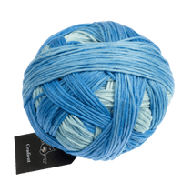 Schoppel Wolle Yarn Overdose SCHOPPEL | Gradient | 1395
