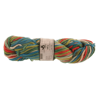 Schoppel Wolle Yarn Parrot SCHOPPEL | Feltro | Super Chunky | 5 Pack | 836