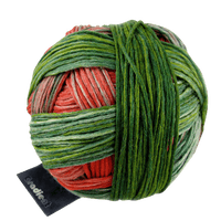 Schoppel Wolle Yarn Parrot SCHOPPEL | Gradient | 1395