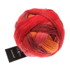 Schoppel Wolle Yarn Party Sky SCHOPPEL | Sock Yarn | Zauberball® | 1155